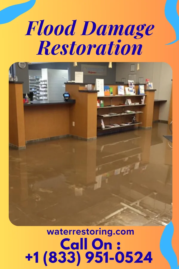 Flood Damage Restoration in Lake Alfred, FL